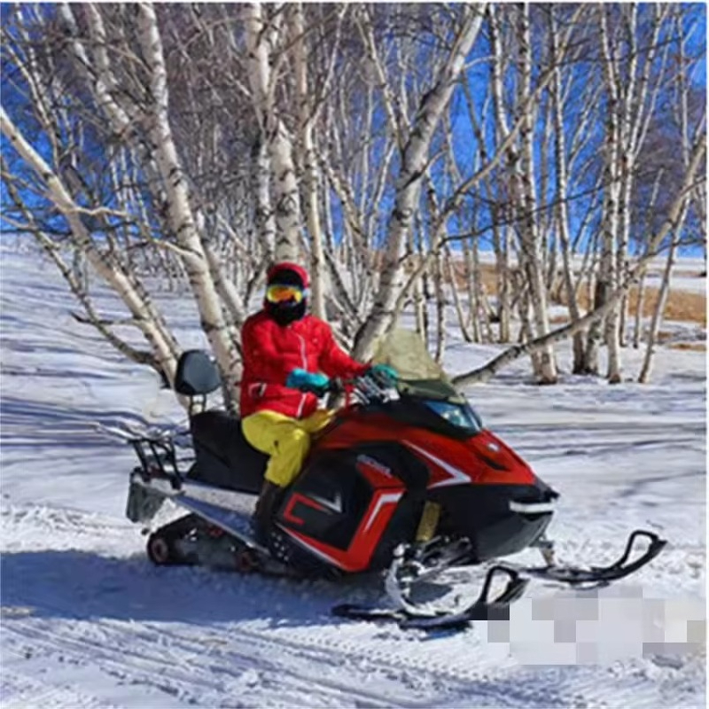 Winter Sports Four-wheeled Chi - Mobile & Tablet Accessories review and price