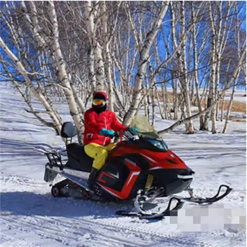Winter Sports Four-wheeled Chi - Mobile & Tablet Accessories review and price